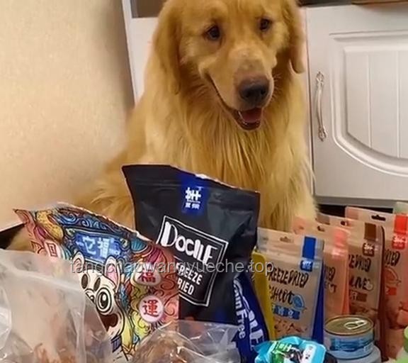 **“网红宠物零食”大摸底！狗都不吃？那我吃！**
