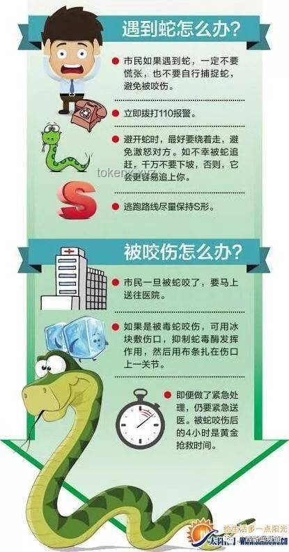 被蛇咬后的应急处理将更趋科学规范化