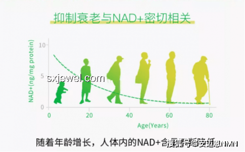 物化生领域早出晚归现象深度剖析