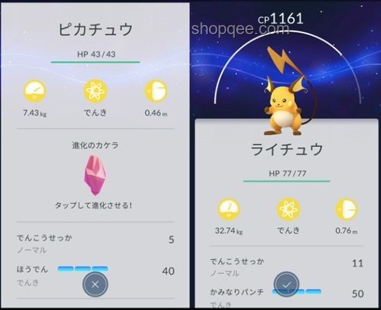 精灵宝可梦(Pokémon)中的趣味冷知识指南 精灵宝可梦(Pokémon)中的趣味冷知识指南