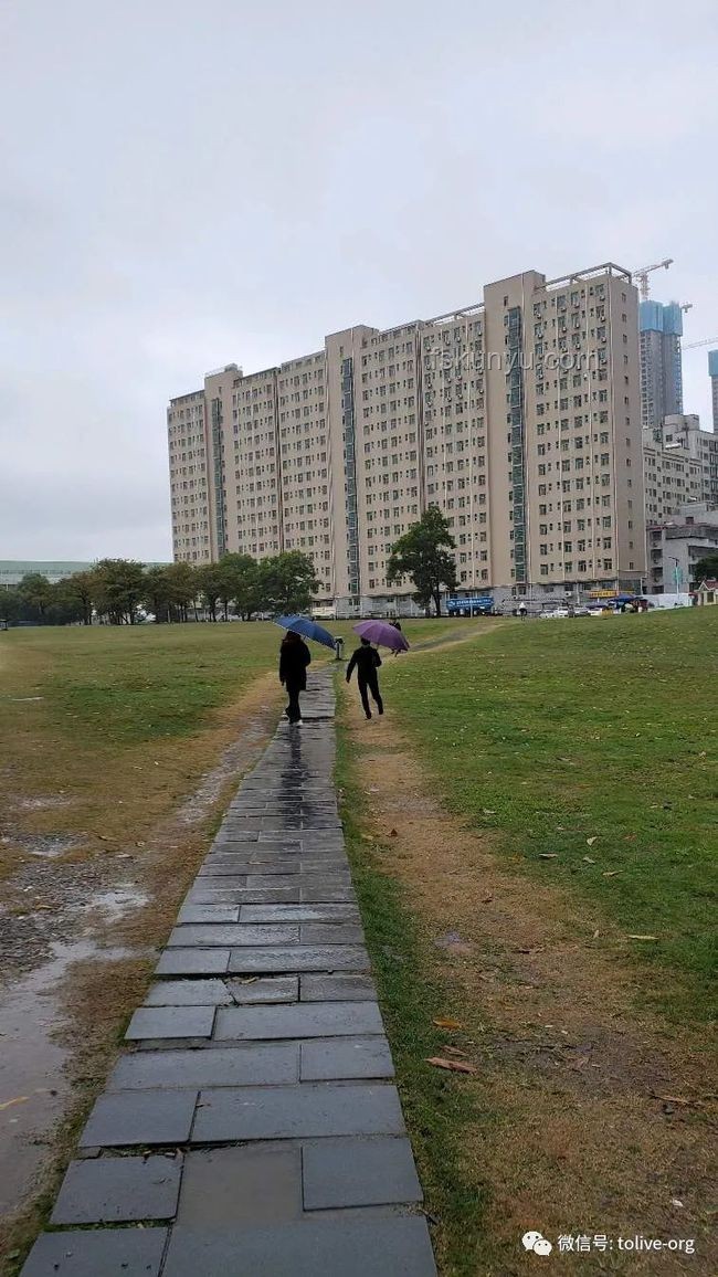 北风呼呼宠势舞：宠物经济新风向预测