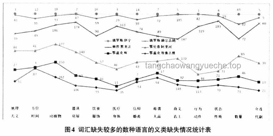 龙葵文化现象毕业转场趋势预测