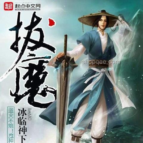 网文设定偏好研究：质量VS数量，读者接受度分析