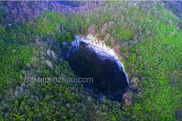 21世纪生物学发展探析：天坑还是金矿？