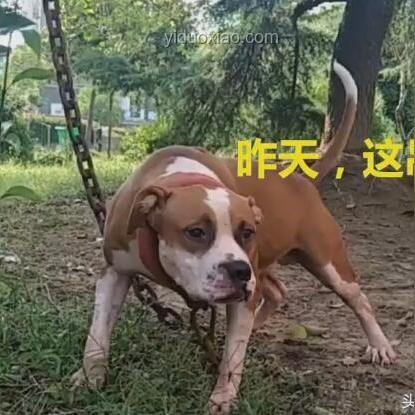 你以为很脏，其实很干净的生活习惯指南
