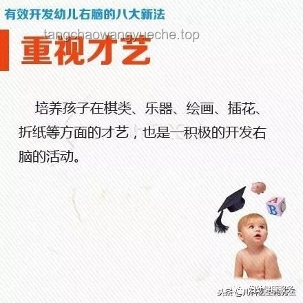 清华爸爸育儿新法：跨界融合，智慧带娃！